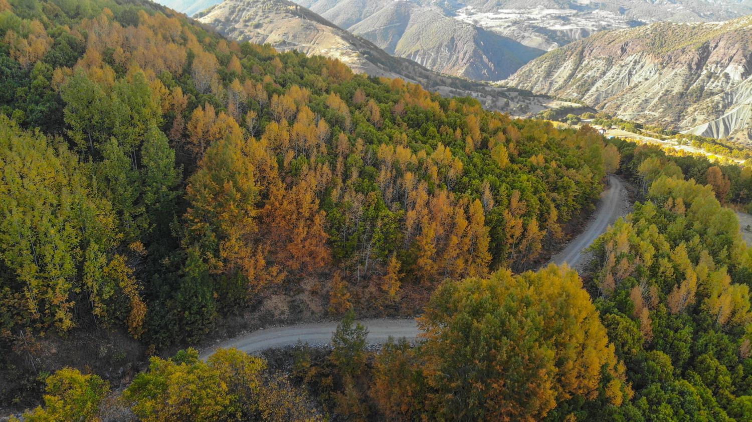 Tunceli'de sonbahar�n geli�iyle kentte yo�un ilgi g�rmeye ba�layan do�a gezilerine HES zorunlu�u