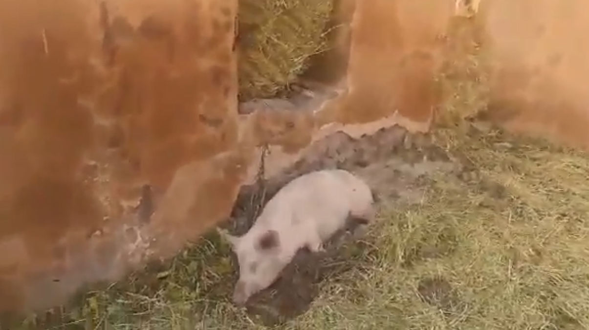 Ermenistan'dan bir alaklk daha! Tarihi camiyi bu hale getirdiler