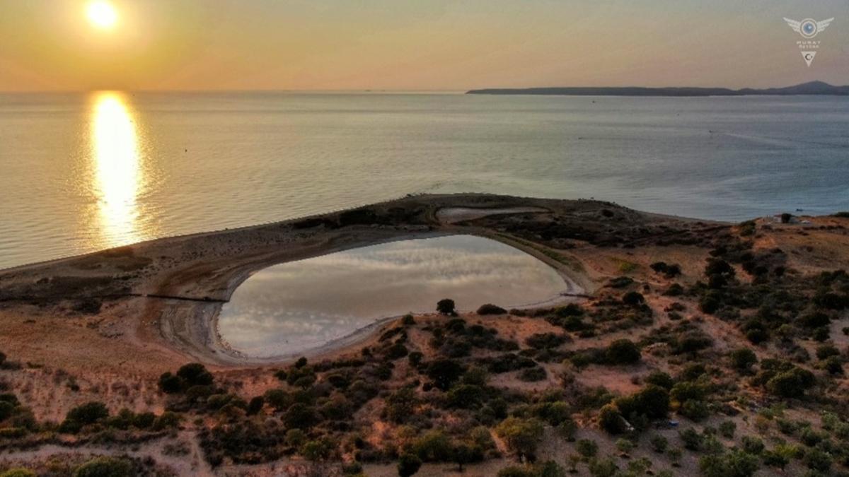 Dnyada sadece 8 adet bulunuyor, biri anakkale'de