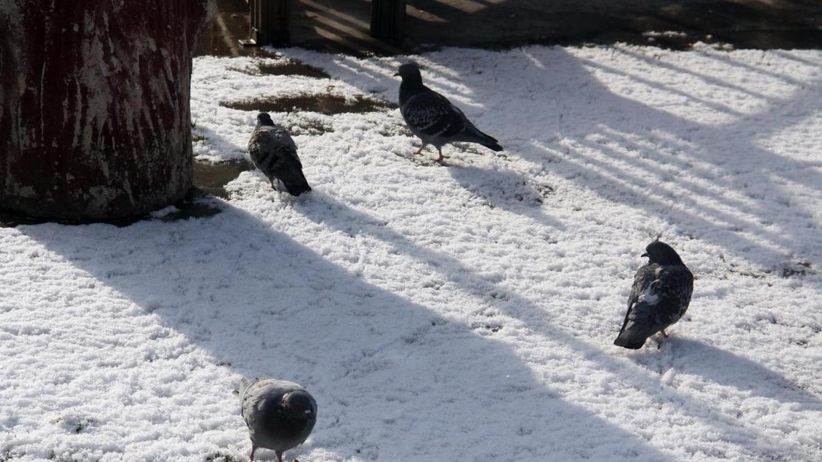 Beklenen oldu: Ardahan kent merkezine mevsimin ilk kar dt
