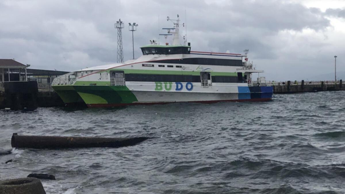 Deniz ulamna olumsuz hava koullar engeli: DO ve BUDO'da seferler iptal edildi