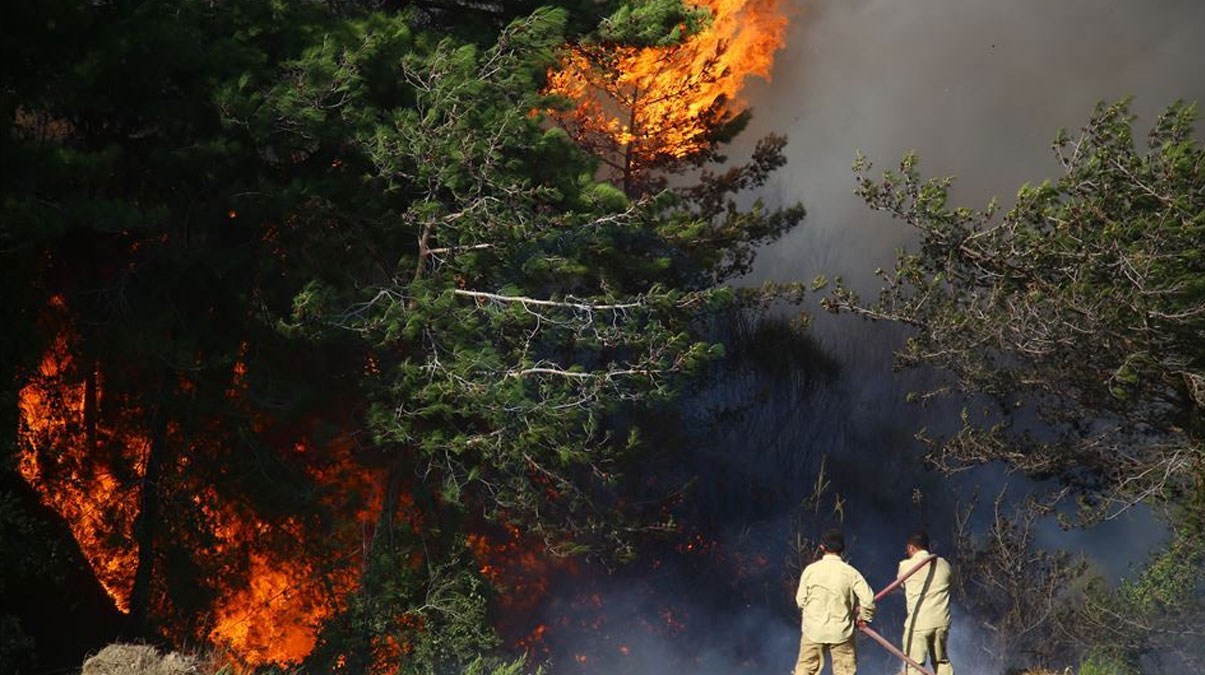 �skenderun'da orman yang�n� ��kt�