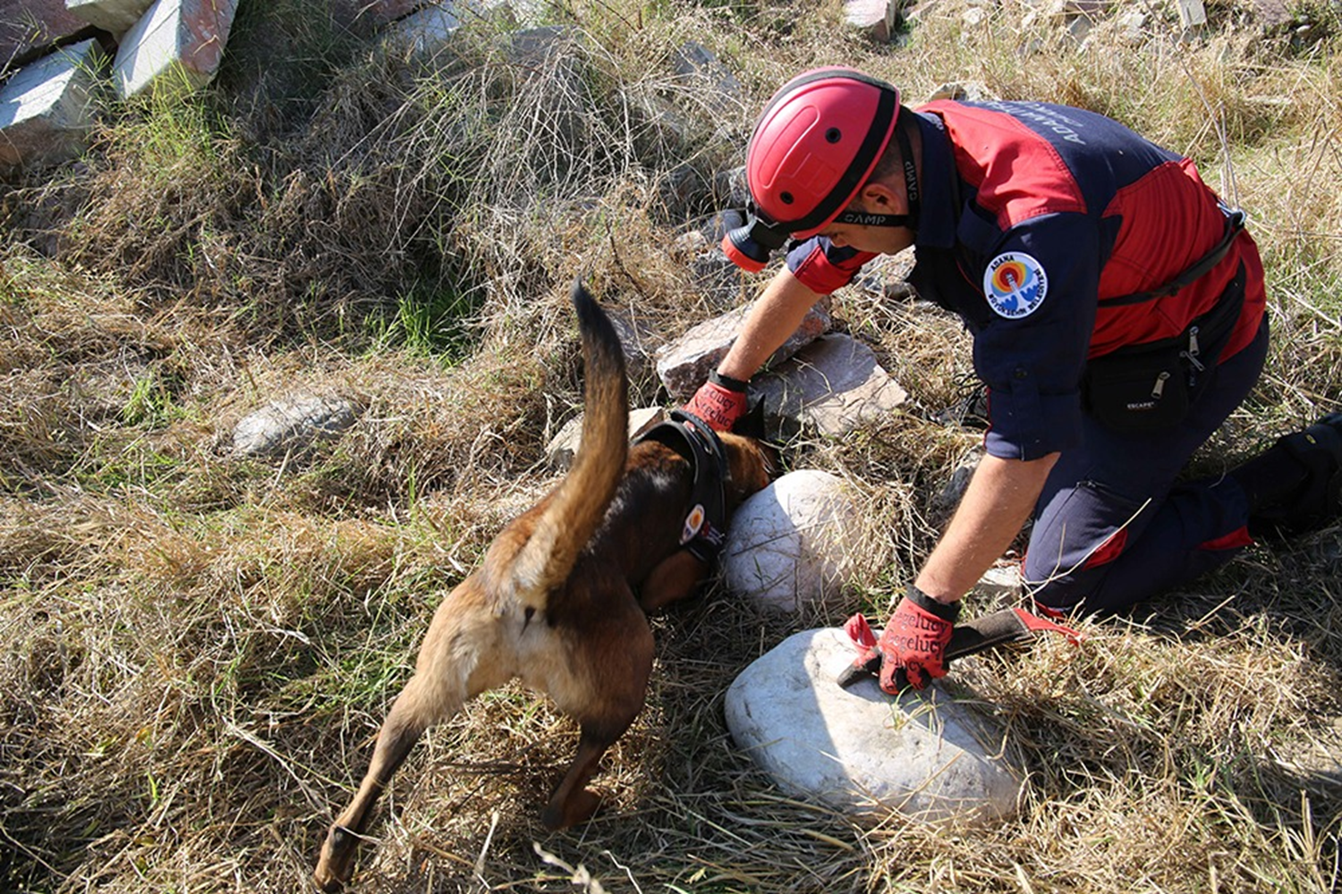 'Hassas burunlar'�n zorlu e�itimi