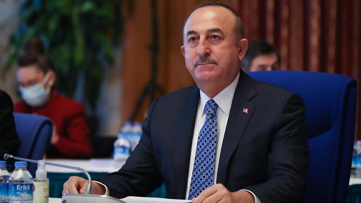 ''Ermenistan hayali''ni aklayan HDP'li vekile Bakan avuolu'ndan cevap
