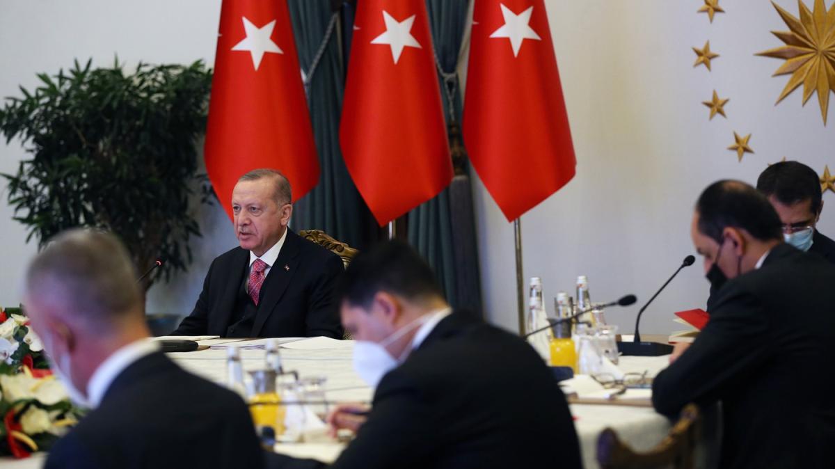SEDAK yesi lkelere seslenen Cumhurbakan Erdoan, ''Milli para'' vurgusu yapt