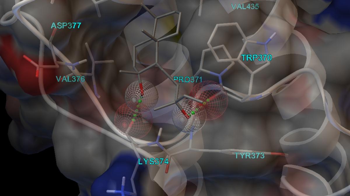Trk bilim insanlarndan heyecanlandran keif: Kovid-19'a kar 'antiviral' etkili koku moleklleri tespiti