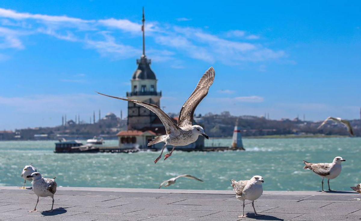 Meteoroloji'den Marmara a��klamas�
