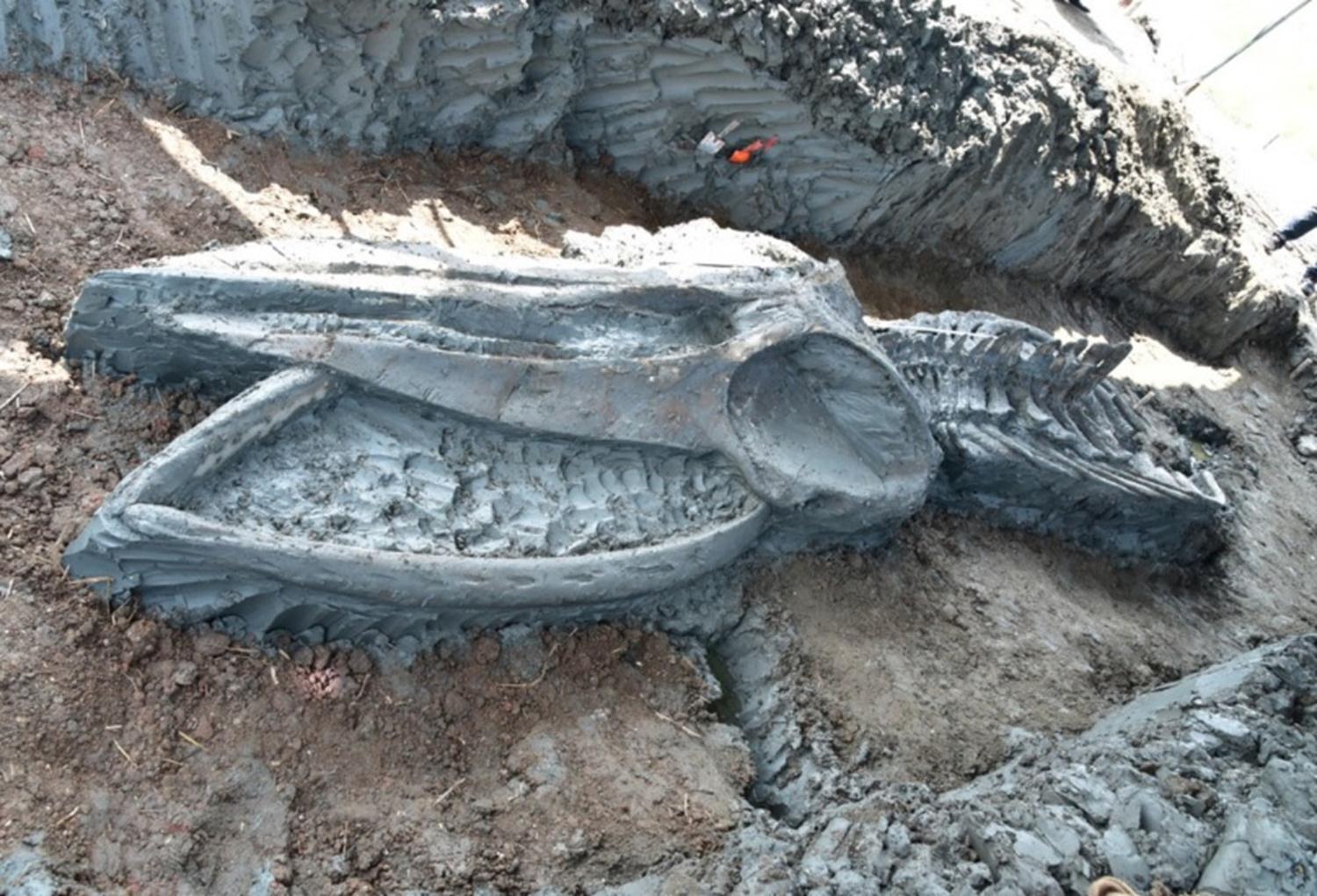 Tayland'da bulundu, tam 5 bin y�ll�k: Nadir bir bulgu