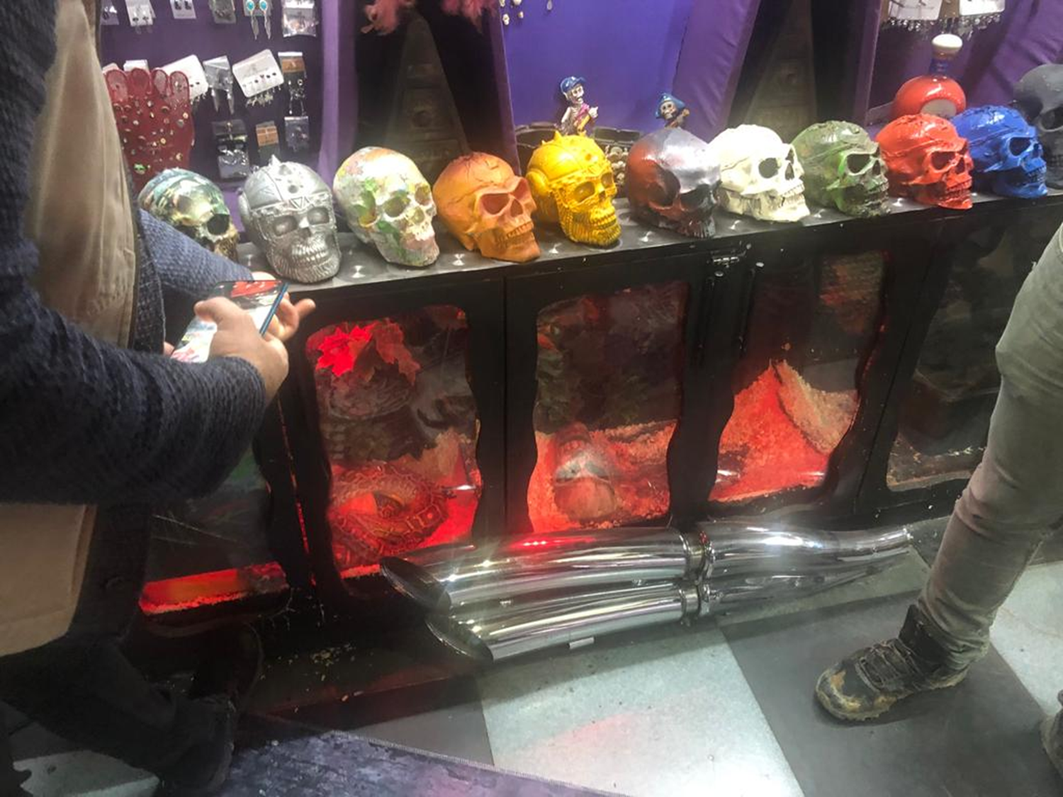 �lkeye yasa d��� yollardan sokulan 15 boa ve piton y�lan� ile 1 adet sakall� ejdere el kondu