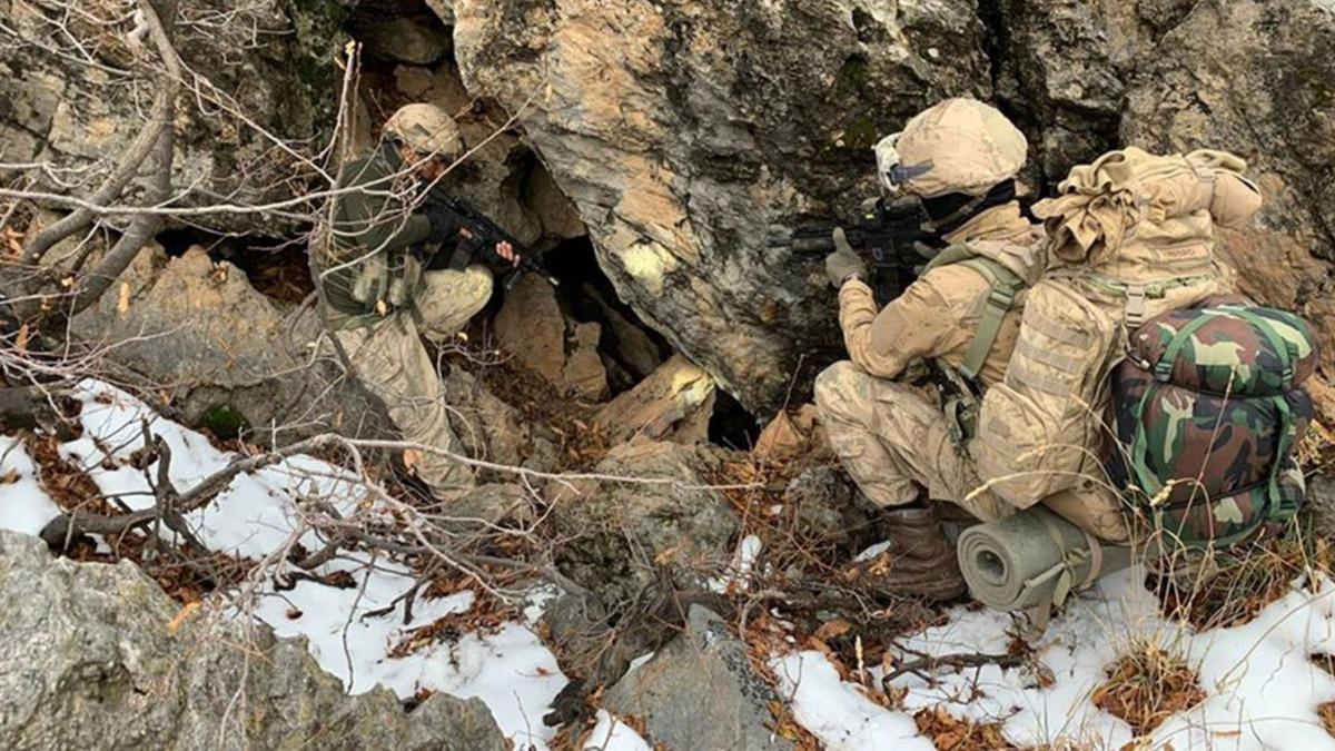 Bingl'de PKK snaklar imha edildi
