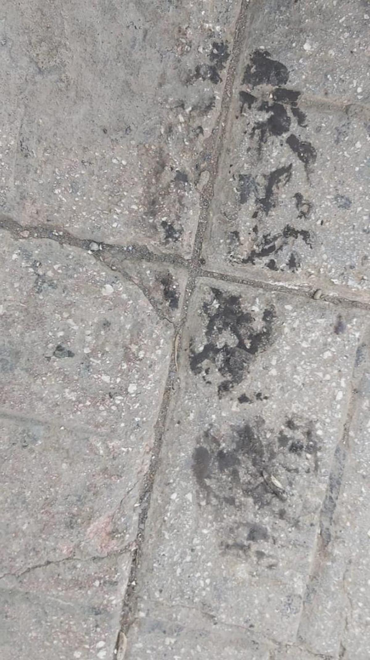 200 bin TL'lik h�rs�zl��� kald�r�mdaki ayak izi ayd�nlatt�