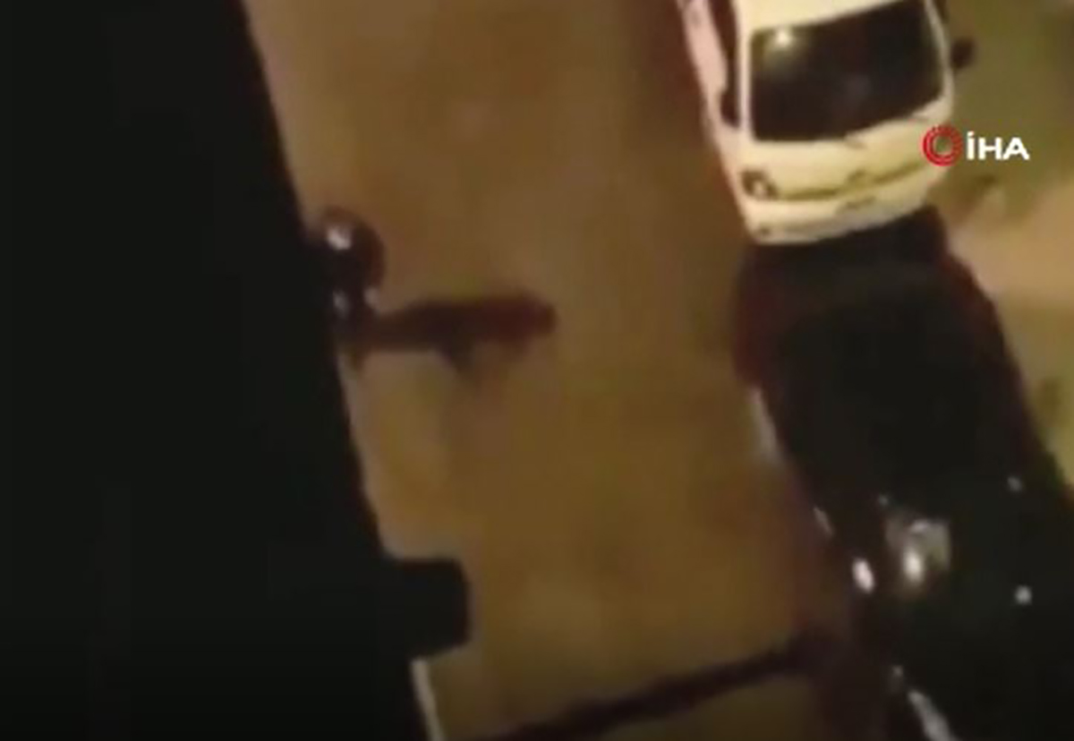 Sokaklarda a�layarak bor� para istiyordu, ger�ek ortaya ��kt�
