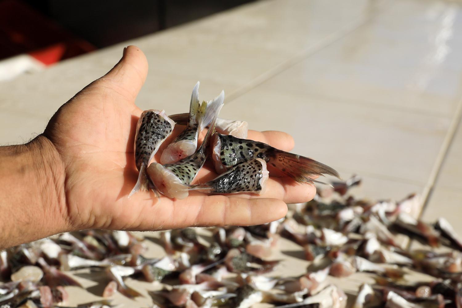 Devlet para �deyece�ini duyurmu�tu! Teslimat ba�lad�