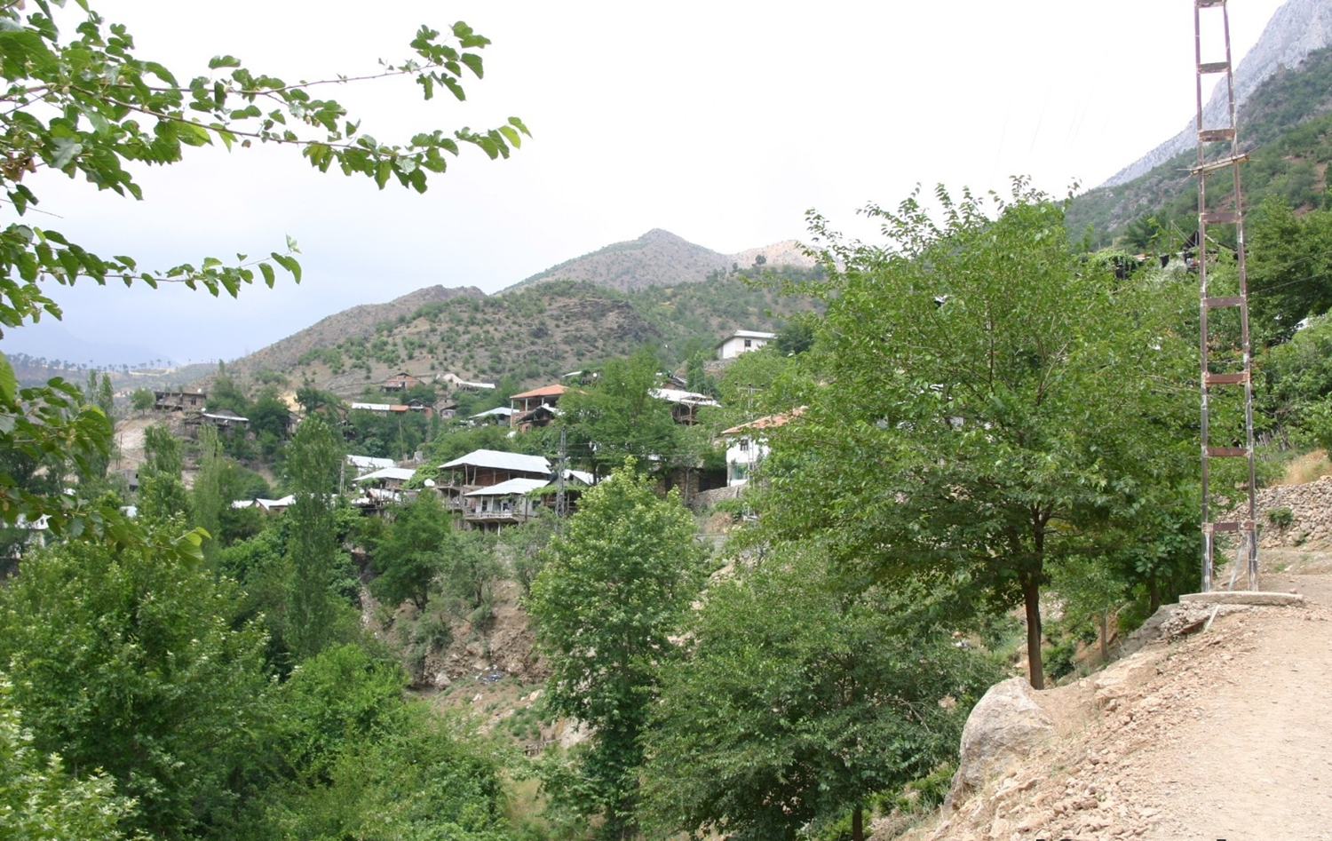 F�r�nda ekmek pi�iren 40 kad�n�n testi pozitif ��kt�, mahalle karantinaya al�nd�