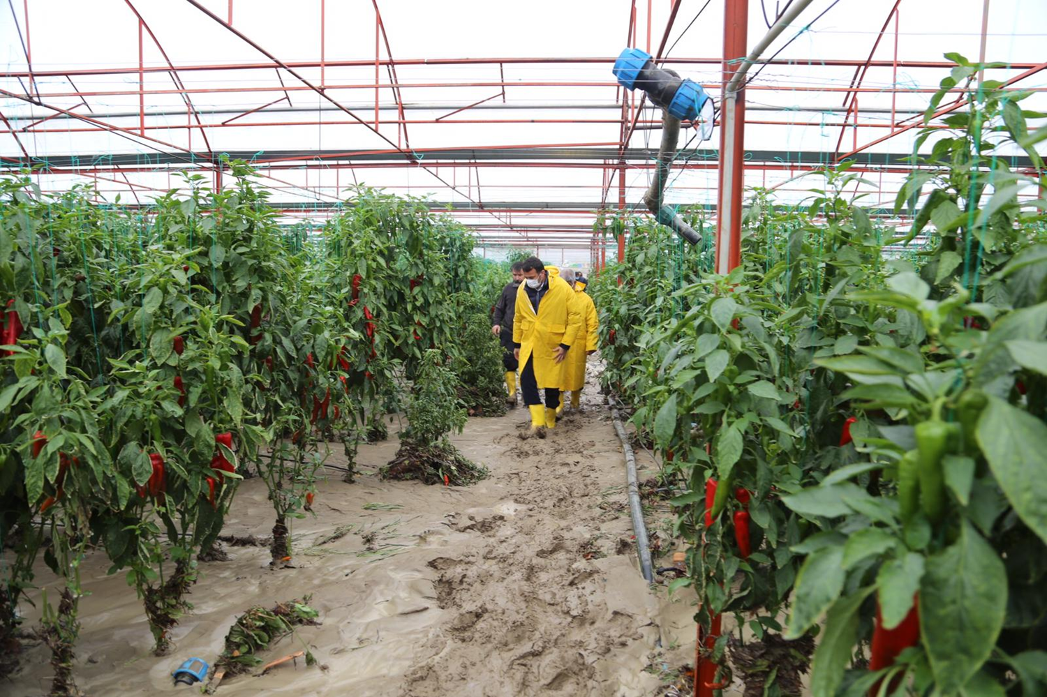 Ka�'ta sera alanlar�n� sa�anak vurdu