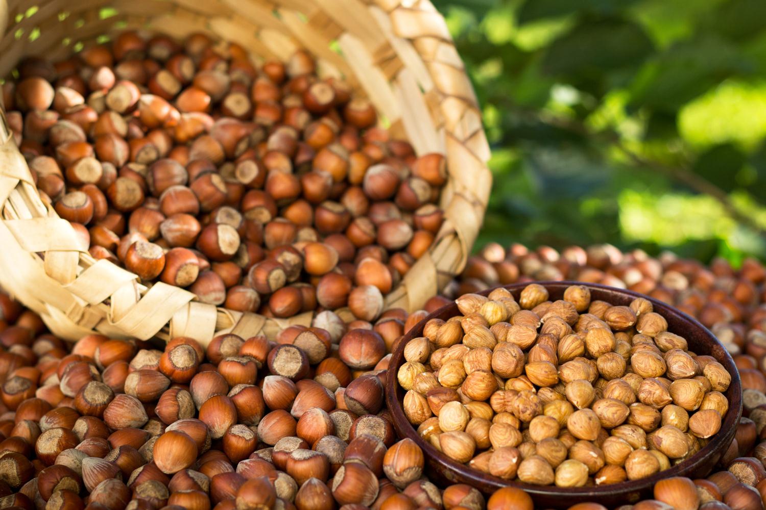 �ekersiz f�nd�k ezmesi �retildi! Talep ya��yor