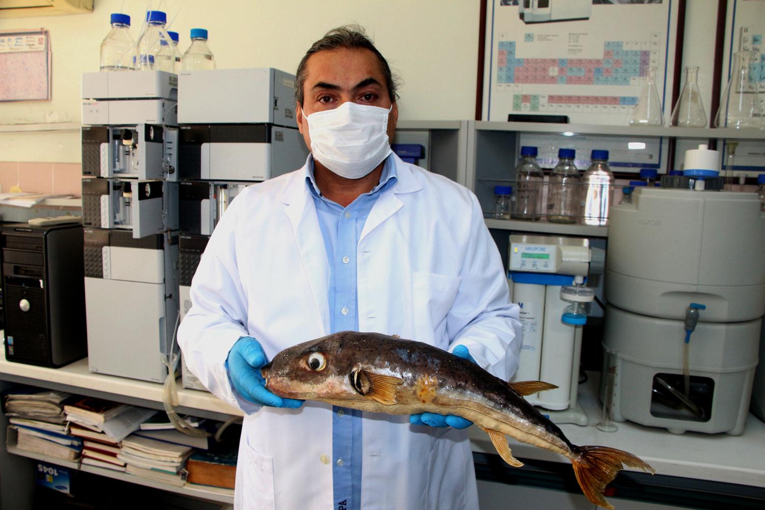 Bir gram�, bir milyon Euro! Kanser hastalar�na umut olacak