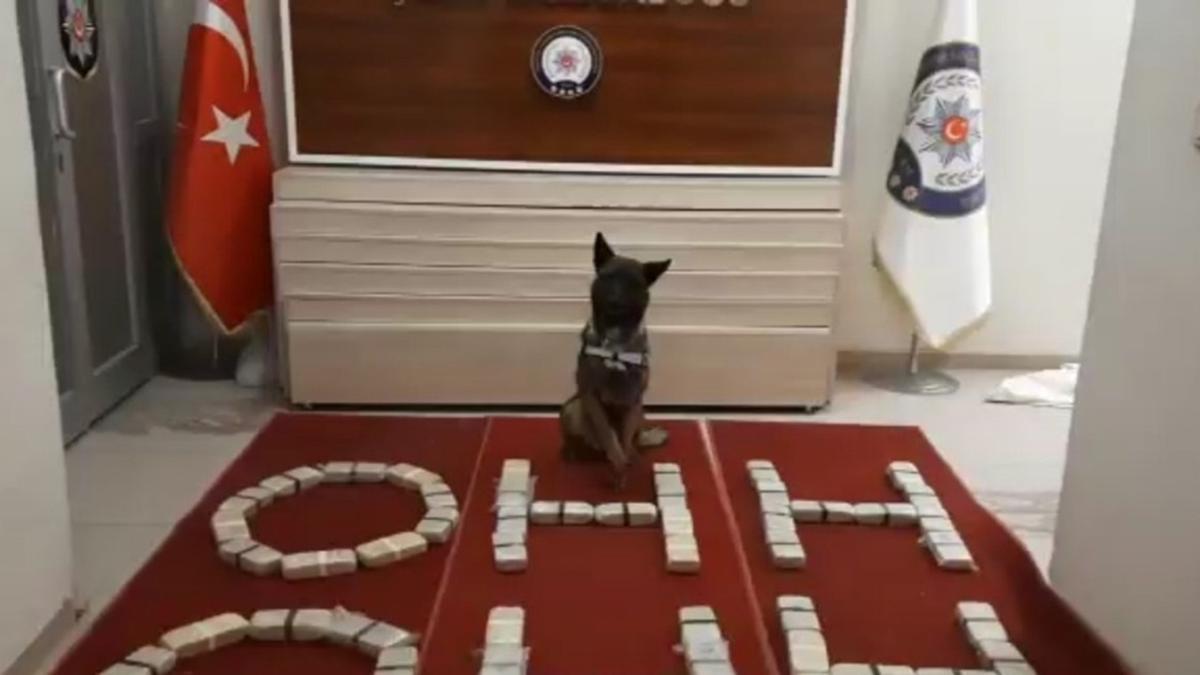Van'da narkotik operasyonu: 30 kilo eroin ele geirildi