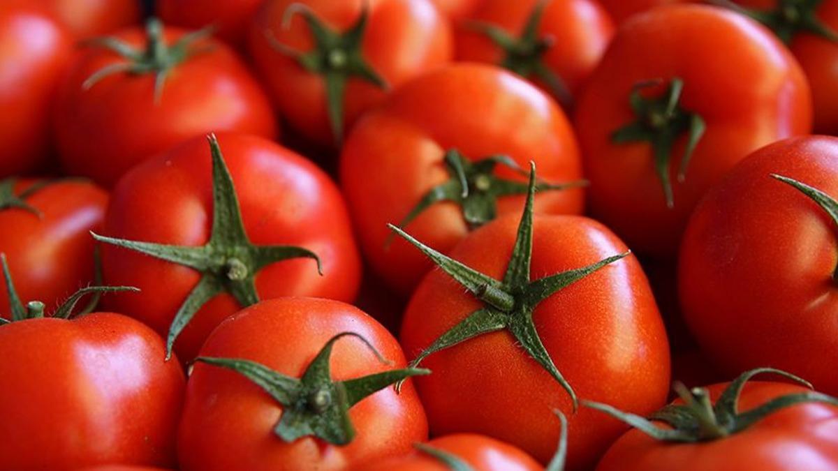 Rusya'ya domates ihracatnda kota 250 bin tona ykseltildi 