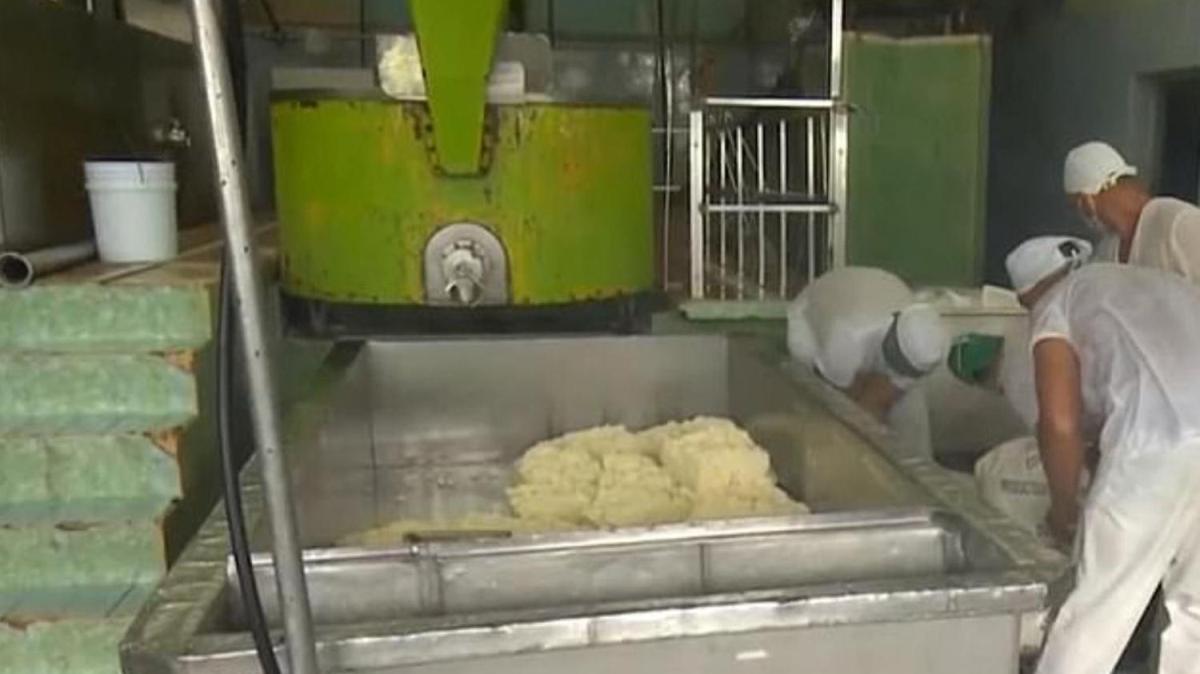 1300 kilo peynir alan Kbal iiler gzaltna alnd