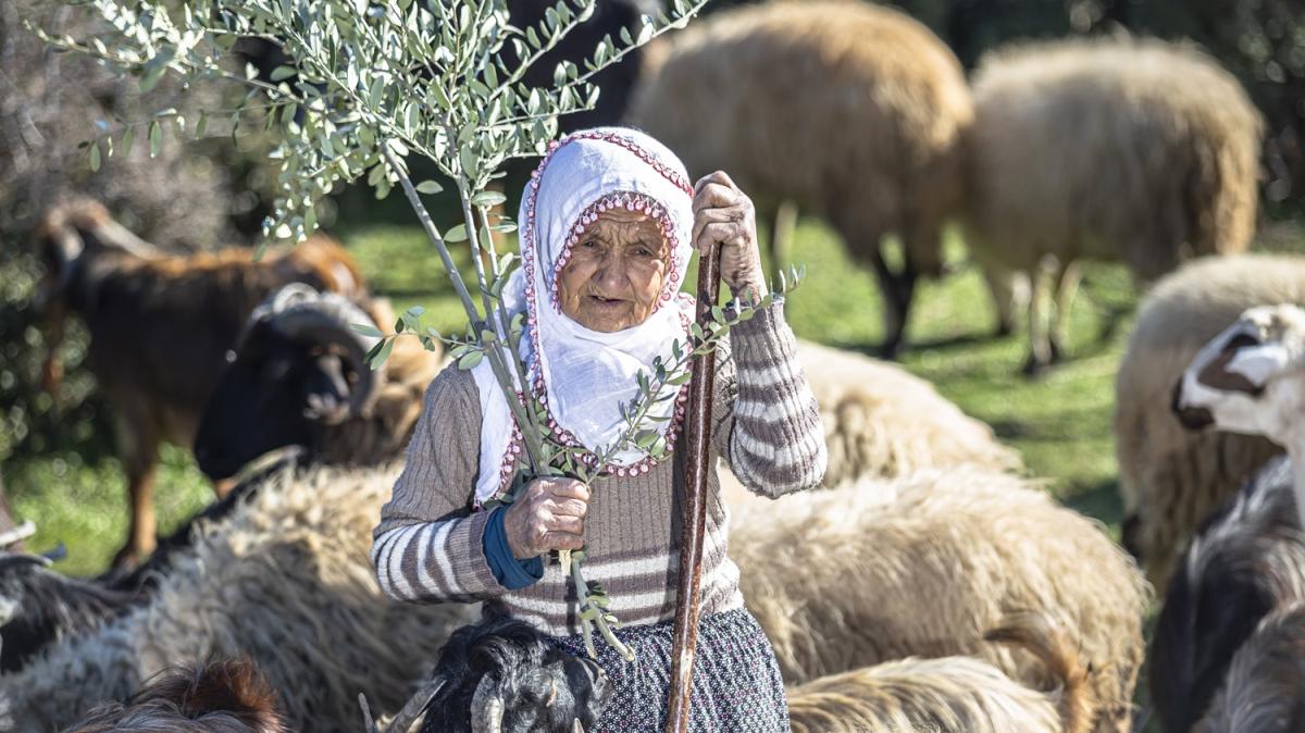 66 yandaki Fatma teyze yarm asrdr Amanos Dalar'nda obanlk yapyor