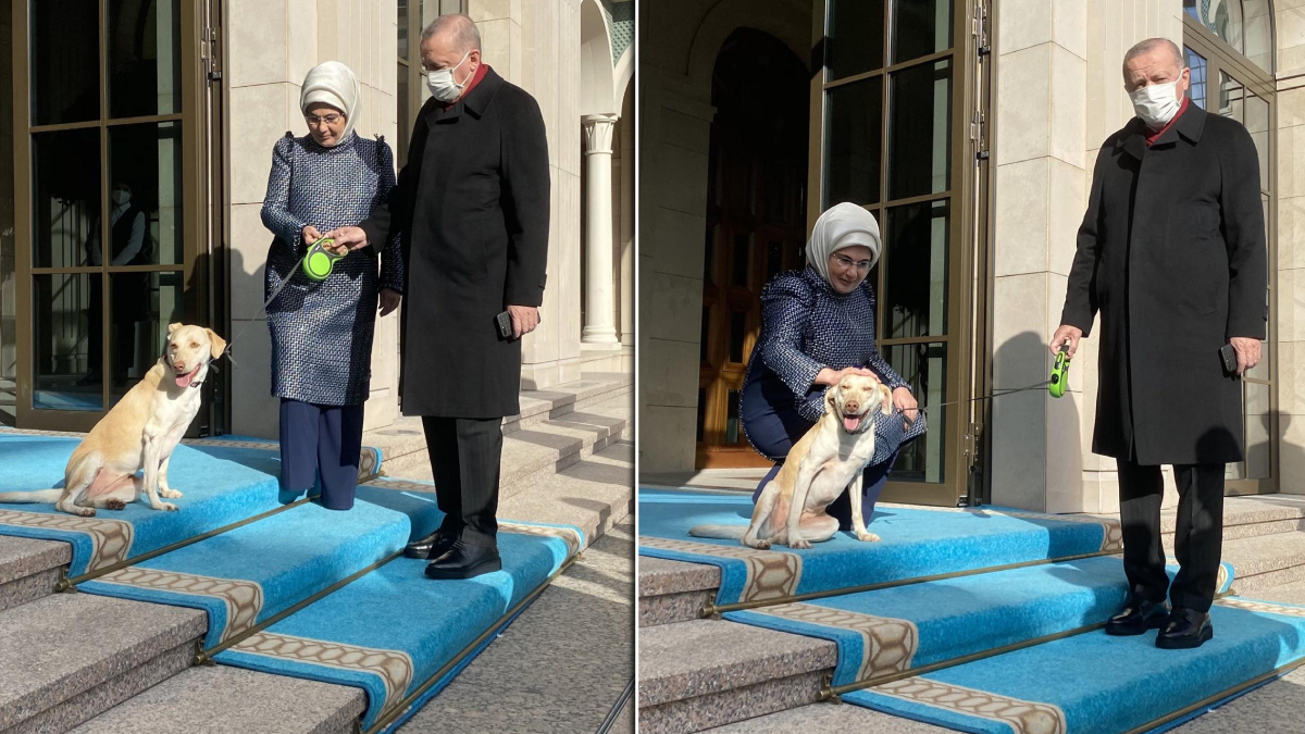 Ba�kan Erdo�an'� mesaiye 'Leblebi' u�urlad�