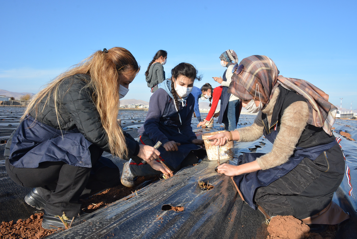 Kad�nlar omuz omuza verdi, kurduklar� kooperatifte �ilek �retecek