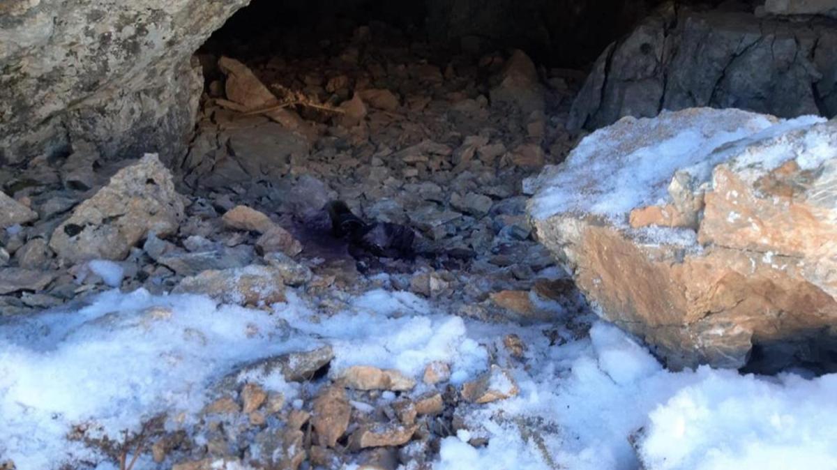Bitlis'te terristlerin kulland maara imha edildi