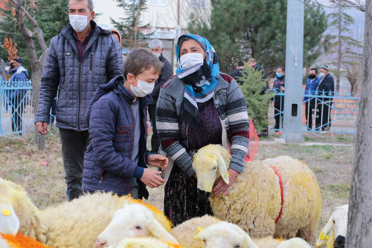 Koyunlar telef olan erife ninenin yardmna Aksaray Valilii yetiti