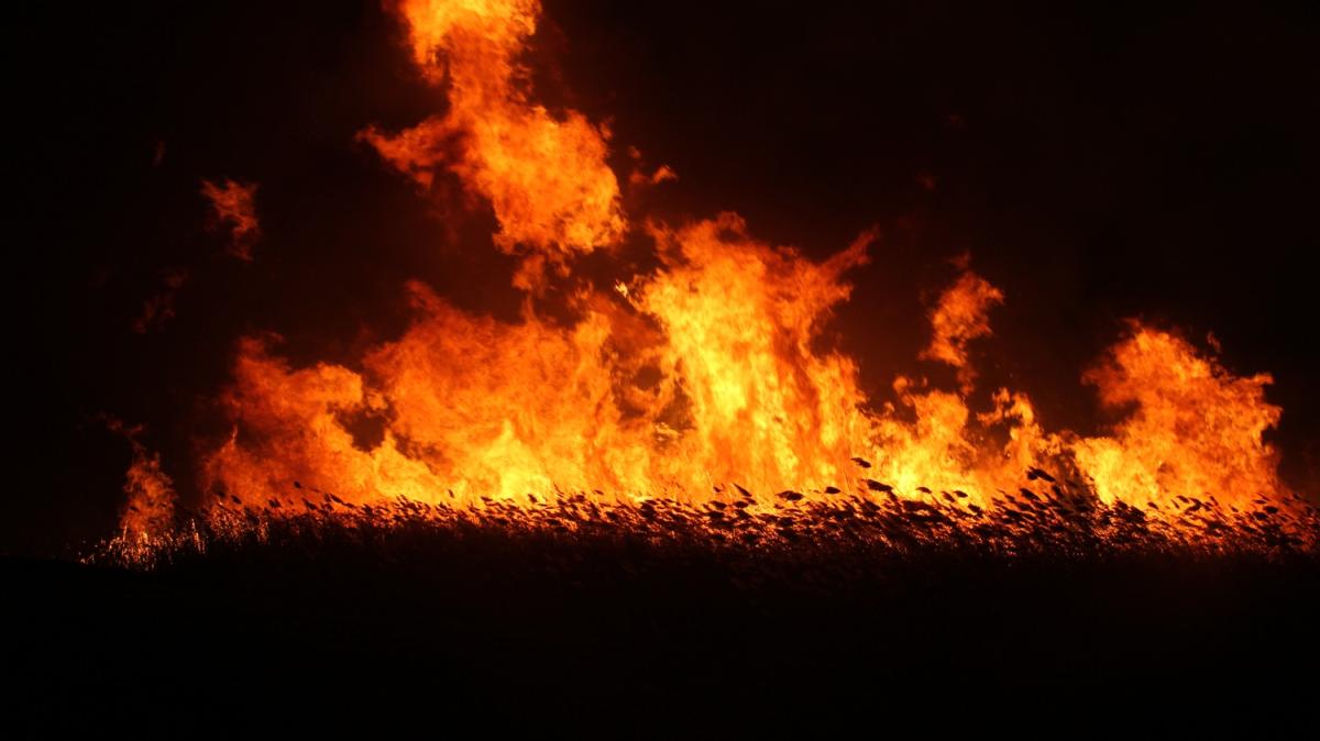 Konya'da korkutan yangnlar