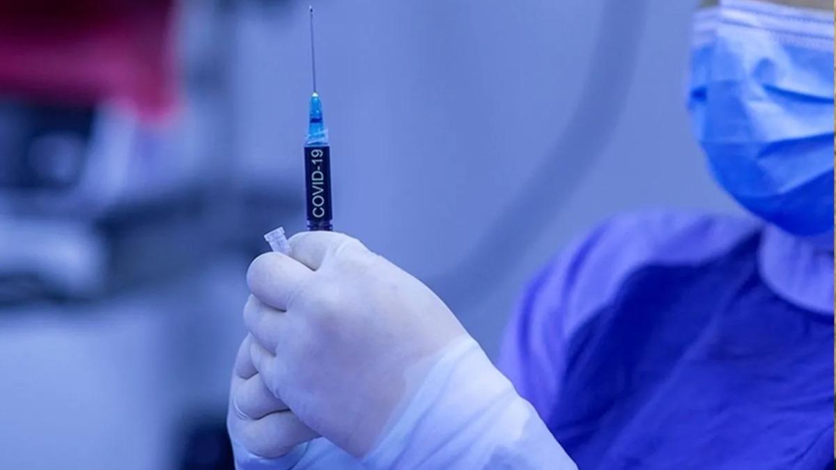 'Johnson & Johnson asnn kresel apta etkililik oran yzde 66'