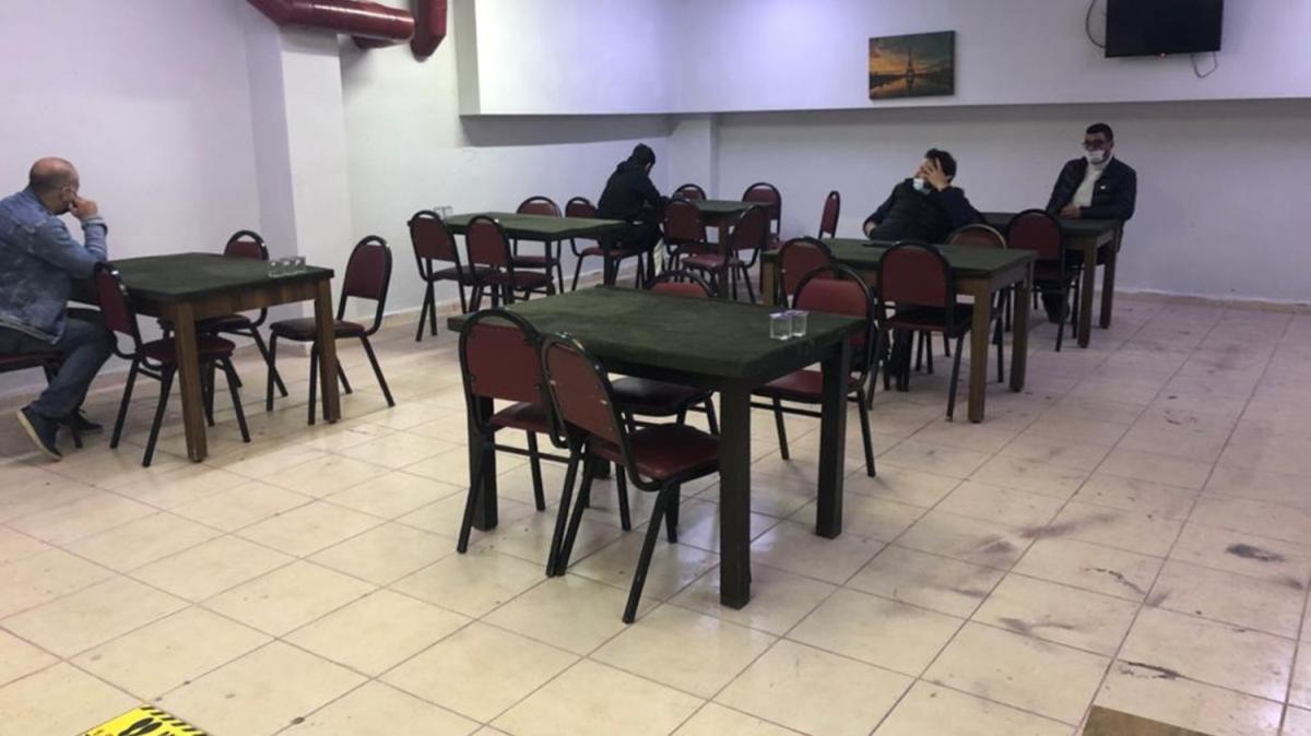Mula'da kumar baskn