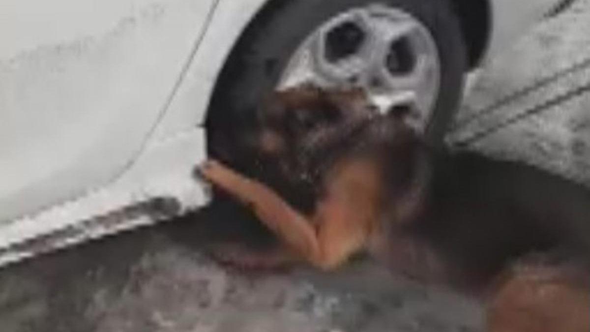 Konya'da operasyon: Otomobilin amurluuna gizlenilmi eroin ele geirildi