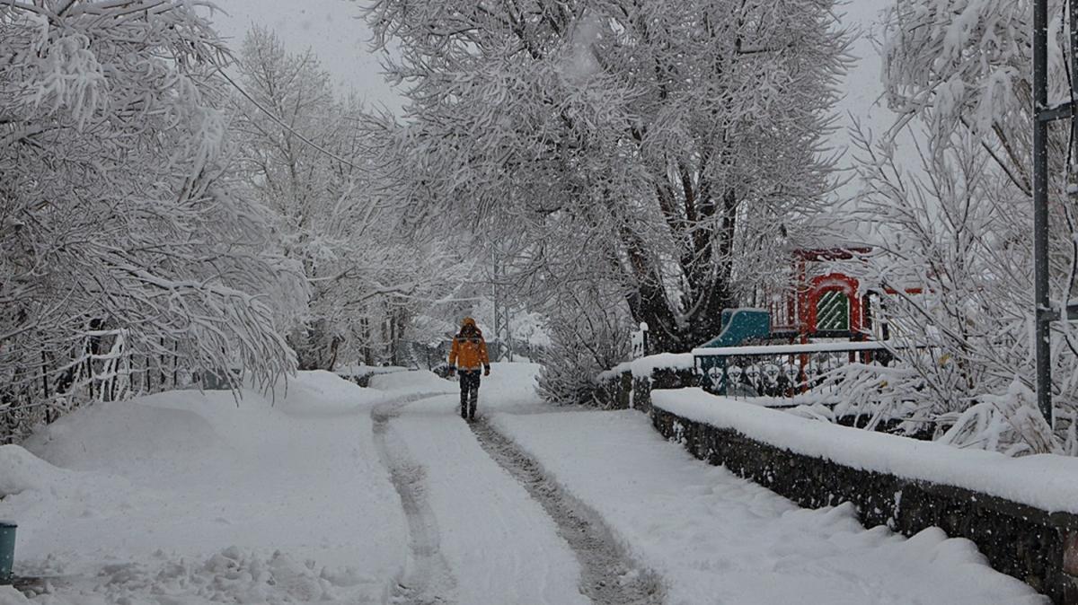 Bingl'de kar ya etkili oldu, 262 ky yolu ulama kapand 