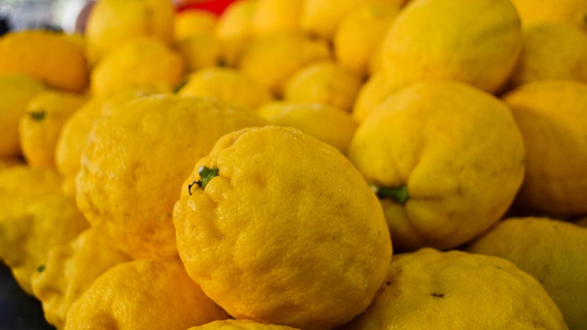Trkiye'den dnyaya limon ihracat: 31 milyon 418 bin dolar girdi saland 