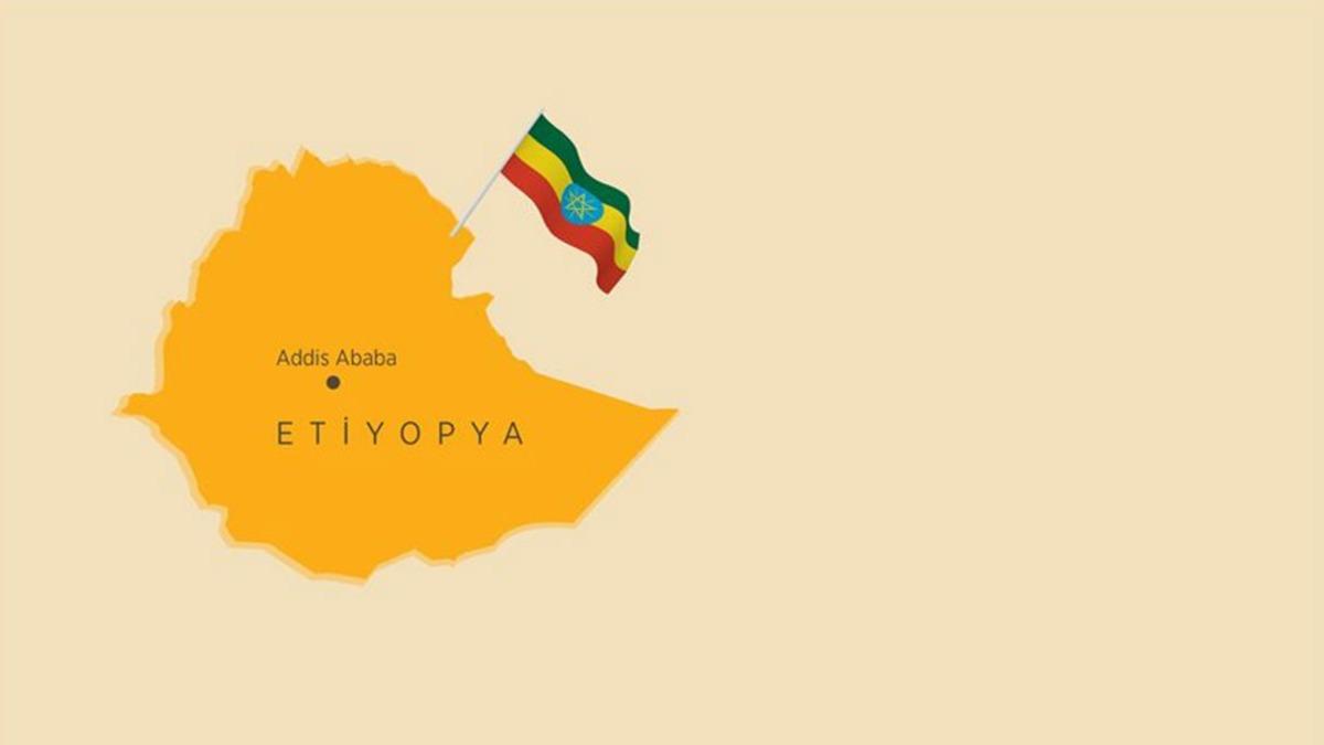Etiyopya ortak bir soruturmaya hazr