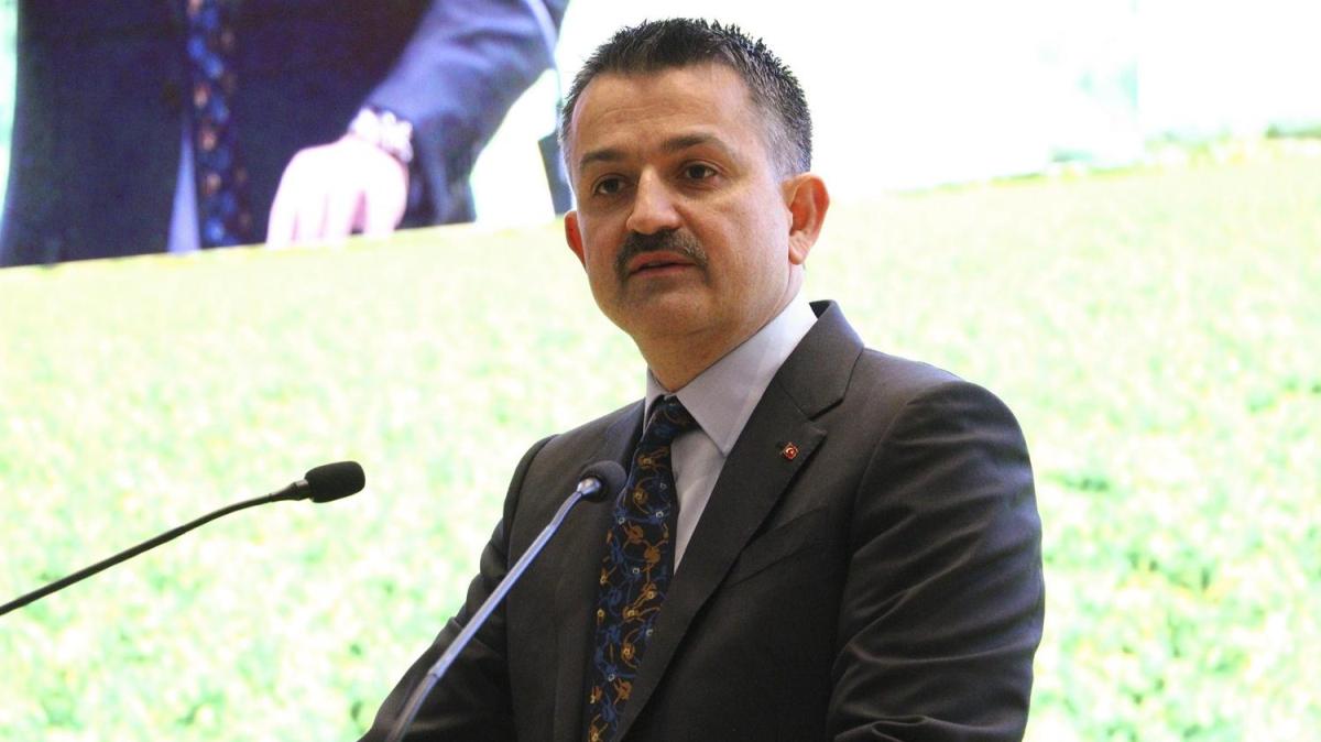 Bakan Pakdemirli: 2 milyar lira hibe saladk 
