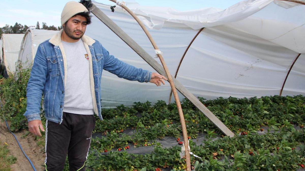 Antalya'da frtna sera rtlerini uurdu