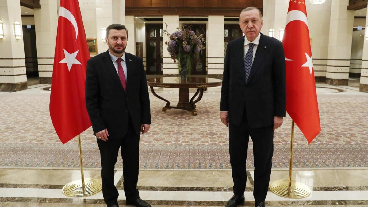 Cumhurbakan Erdoan, Avrupa'daki Trk STK temsilcilerini kabul etti