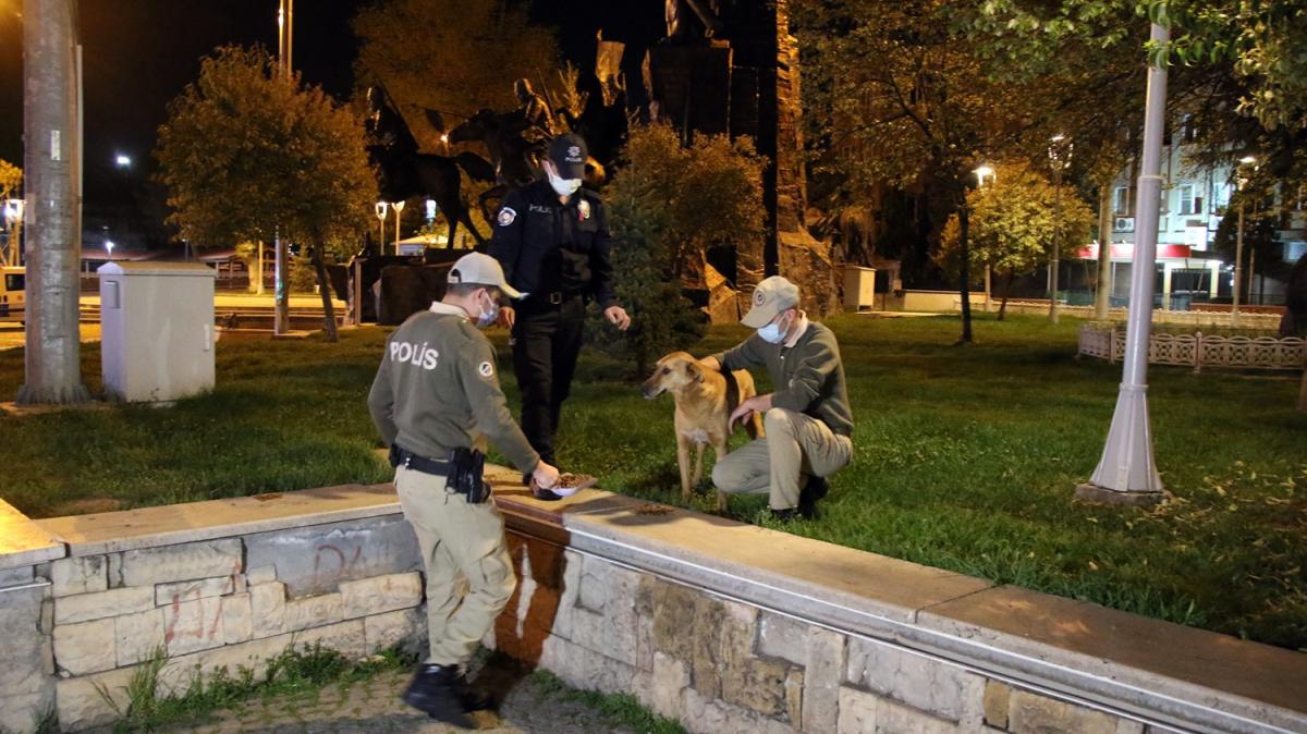 Uak'ta polisler sokak hayvanlarn besledi