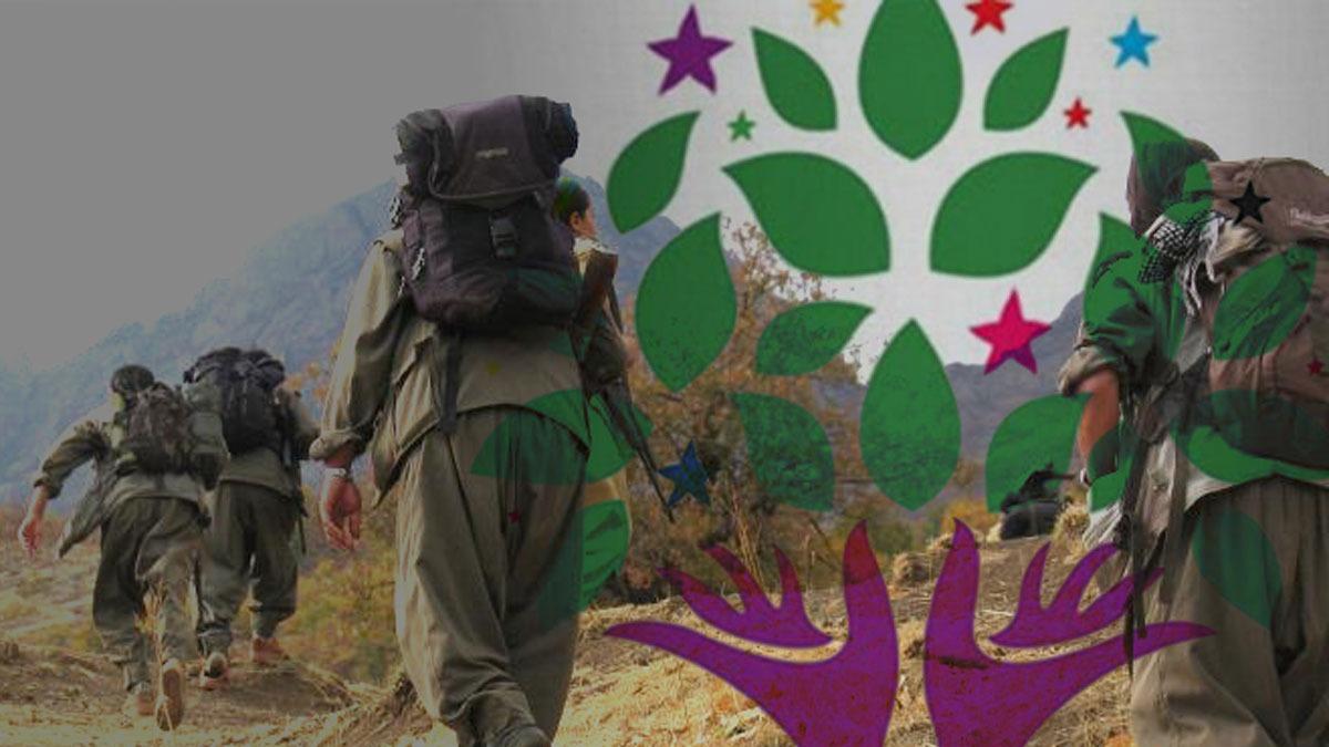 Terr rgt PKK'ya katlan kadnlarn yzde 49'una HDP araclk etti