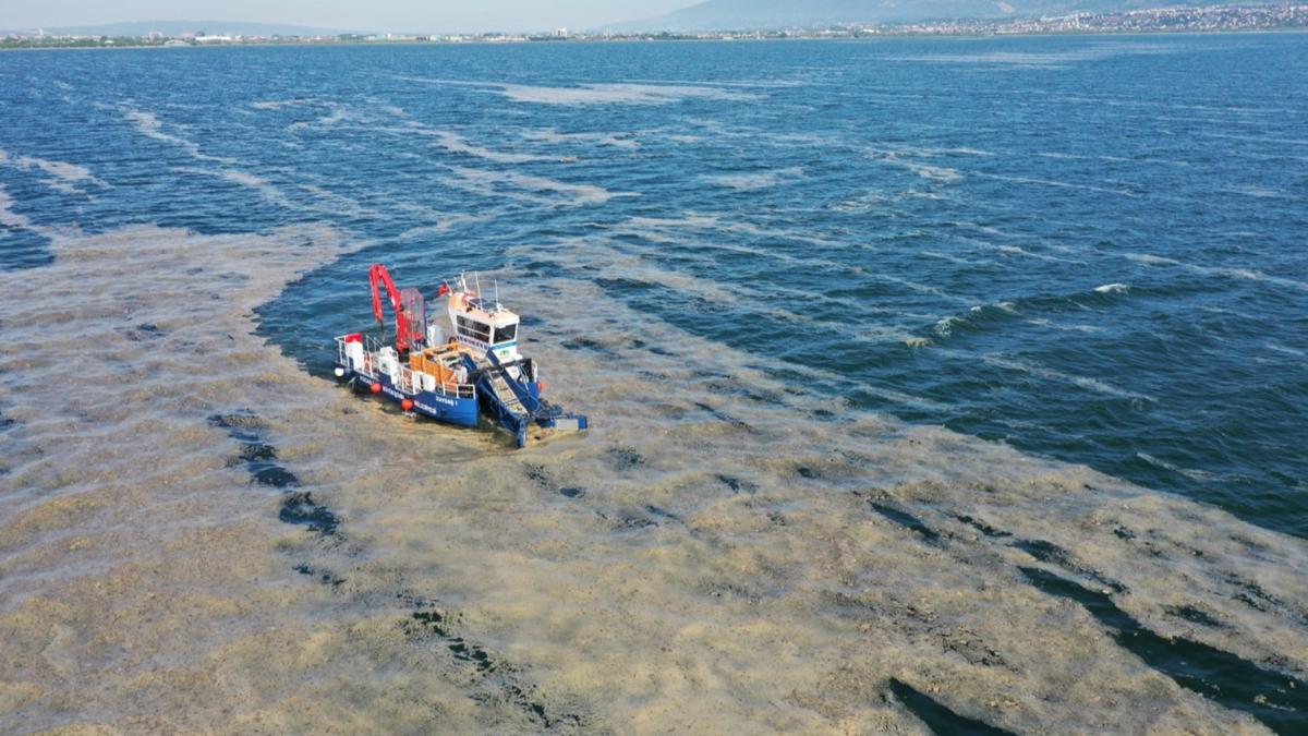 100 ton deniz salyas temizlendi