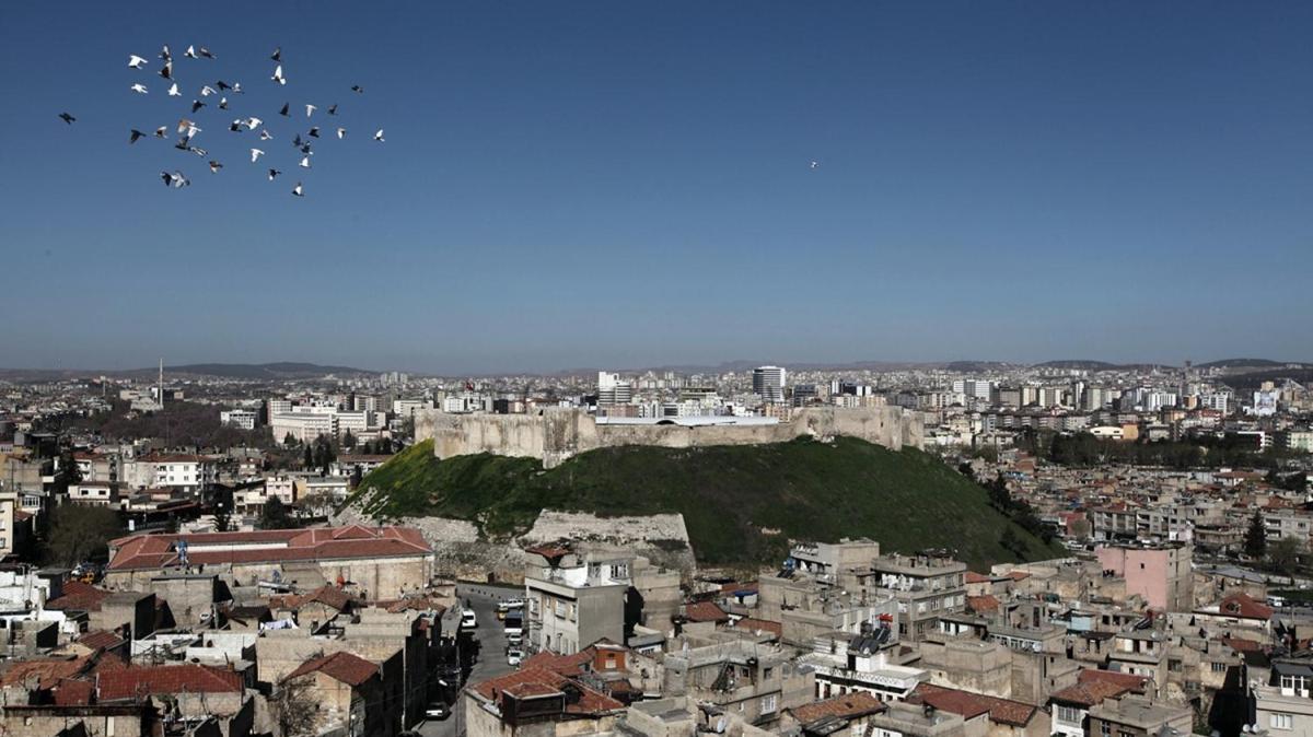 Gaziantep'te vaka oranlar 10 gnde yzde 50 azald