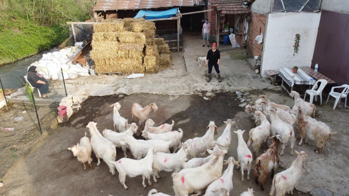 35 yandaki kadn daysnn hediye ettii olakla balad, imdi sr sahibi