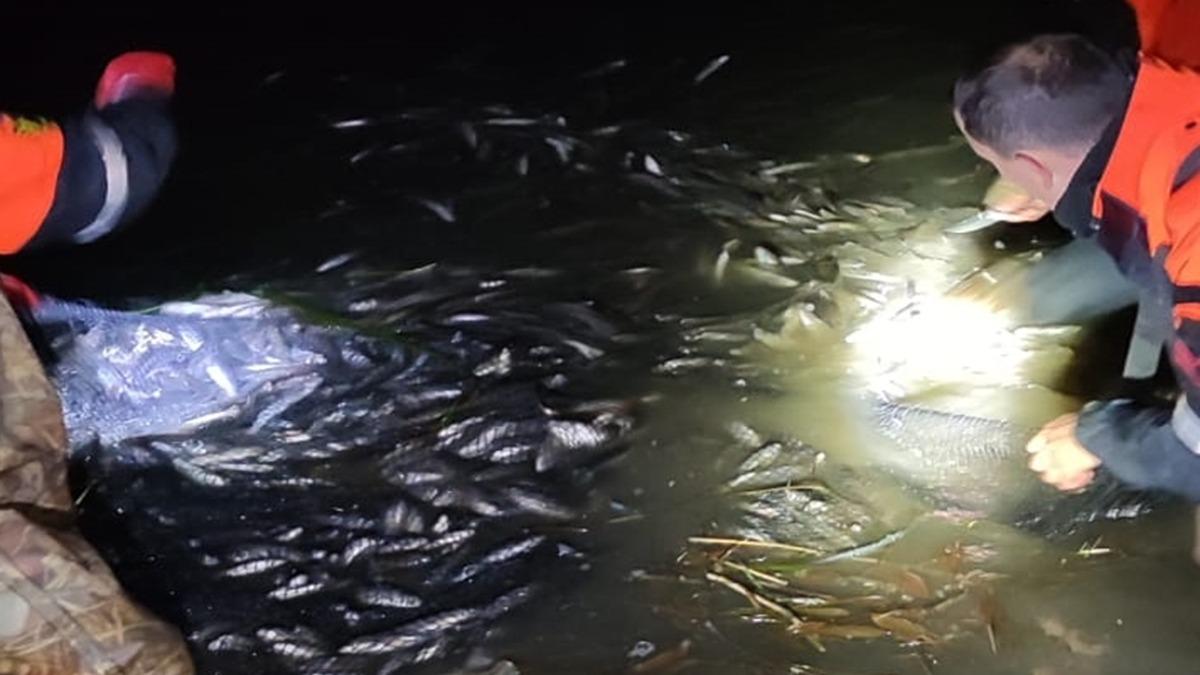 Kaak avlanlan 15 ton 200 kilo inci kefali suya brakld 