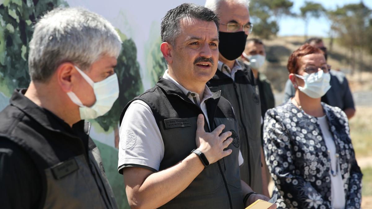 Bakan Pakdemirli duyurdu: Kontrol altna alnd