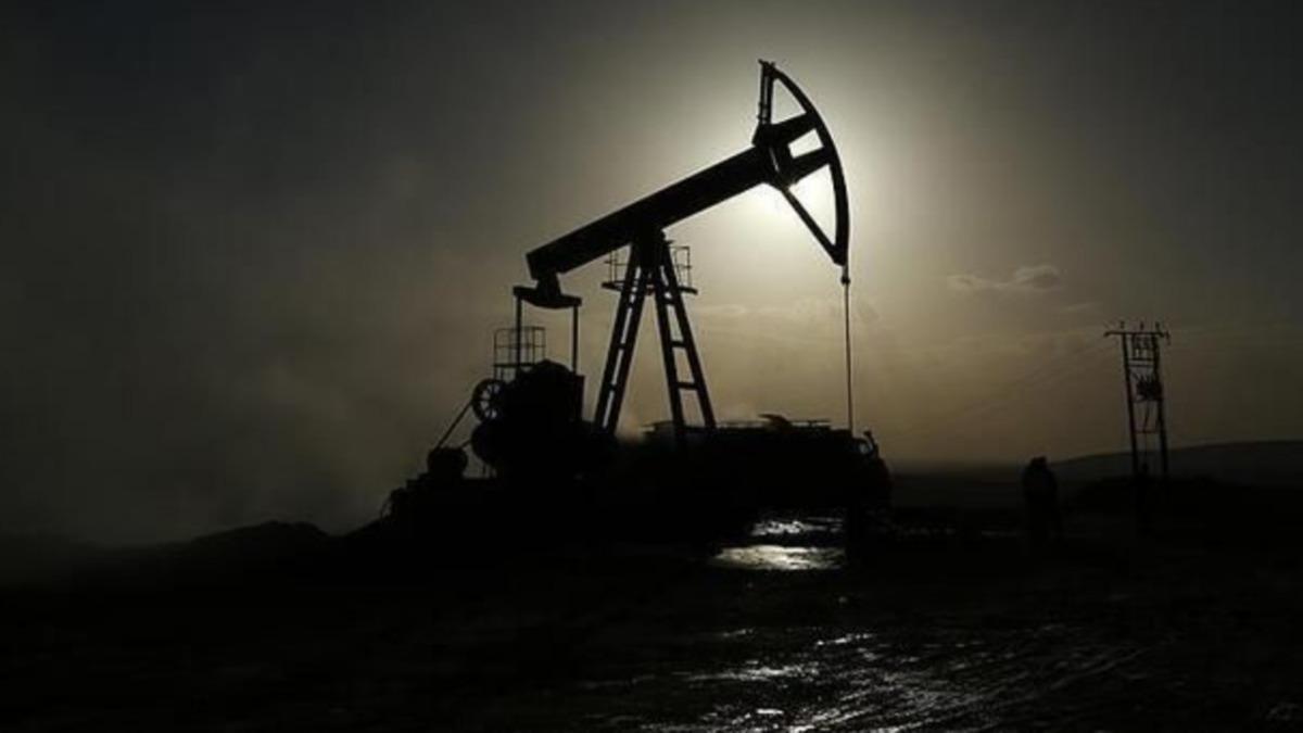 Cumhurbakan duyurmutu! O ilde petrol sevinci