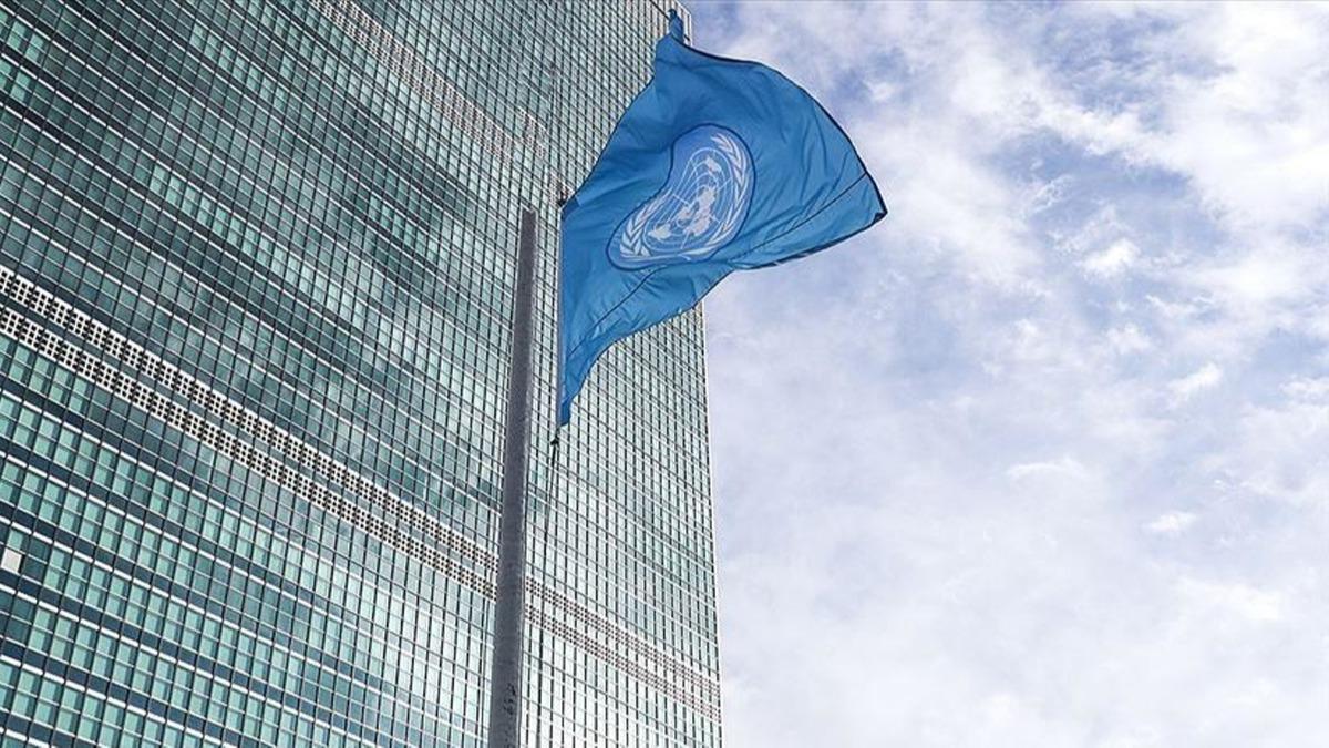 BM Gvenlik Konseyi'nin yeni geici yeleri seildi 
