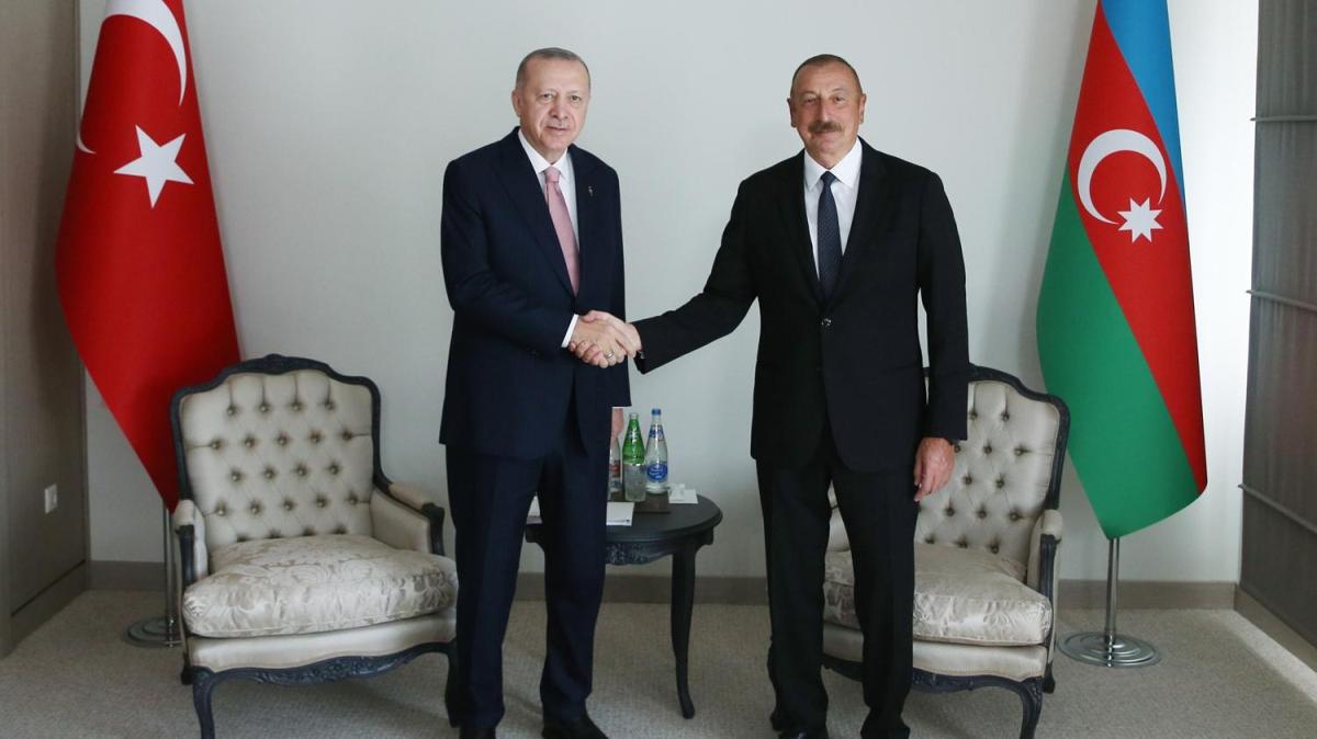 Cumhurbakan Erdoan, Cumhurbakan Aliyev'le ua'da ba baa grt