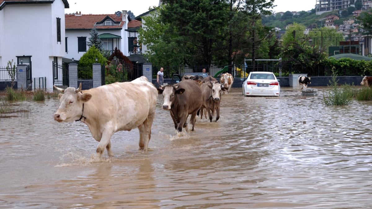 ile'de saanak hayat olumsuz etkiledi